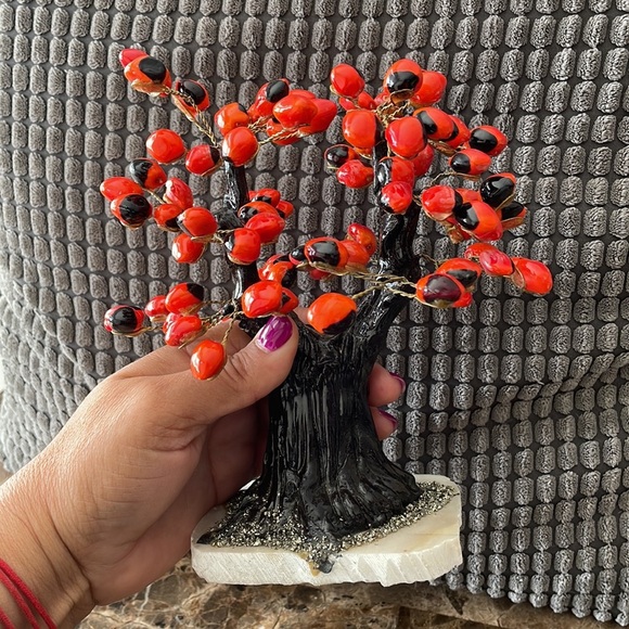 Bonsai - Picture 7 of 7